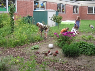 Schulgarten Lierbergschule