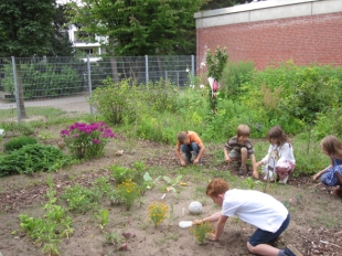 Schulgarten Lierbergschule