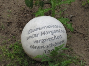 Schulgarten Lierbergschule